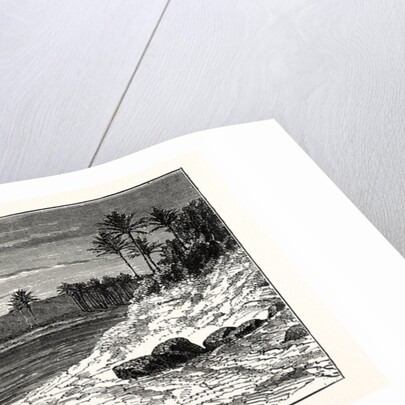 View On The Banks Of The Euphrates by Anonymous