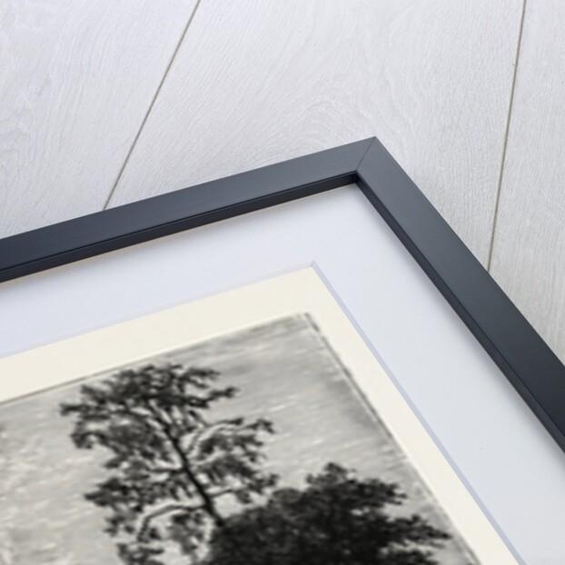 A View In Abyssinia by Anonymous