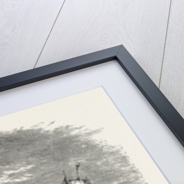 View Of Alexandria (from The Sea) by Anonymous