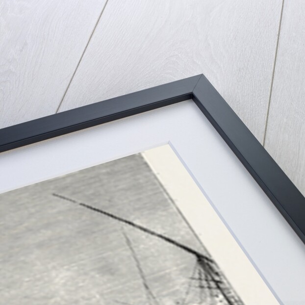 View Of Boulak, On The Nile, Egypt. by Anonymous