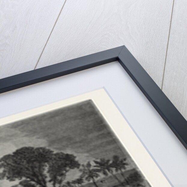 View Of Coomassie, The Capital Of Ashanti by Anonymous