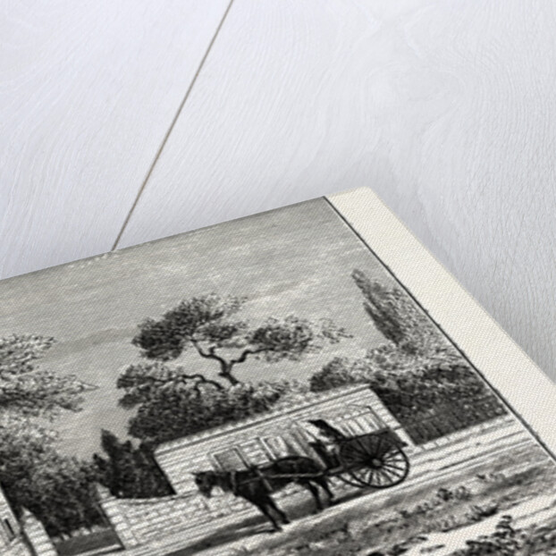 House Of A Rich Boer, Or Dutch Farmer, South Africa by Anonymous