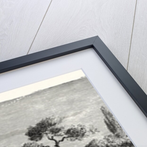 House Of A Rich Boer, Or Dutch Farmer, South Africa by Anonymous