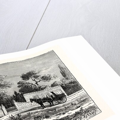 House Of A Rich Boer, Or Dutch Farmer, South Africa by Anonymous