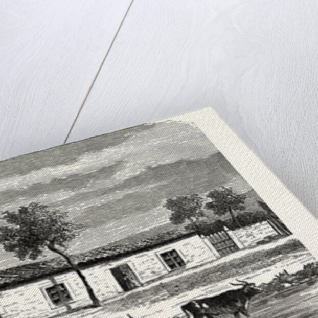 A Boer Farm, South Africa by Anonymous