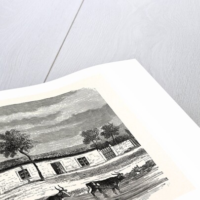 A Boer Farm, South Africa by Anonymous