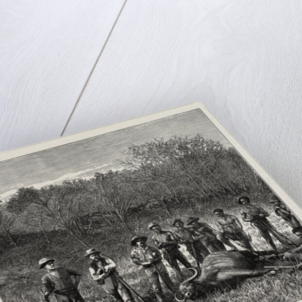 Buffalo Hunters in the Transvaal by Anonymous