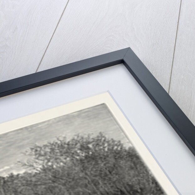 Buffalo Hunters in the Transvaal by Anonymous