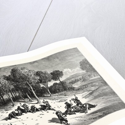 An Orange Grove In The South Of Spain by Anonymous