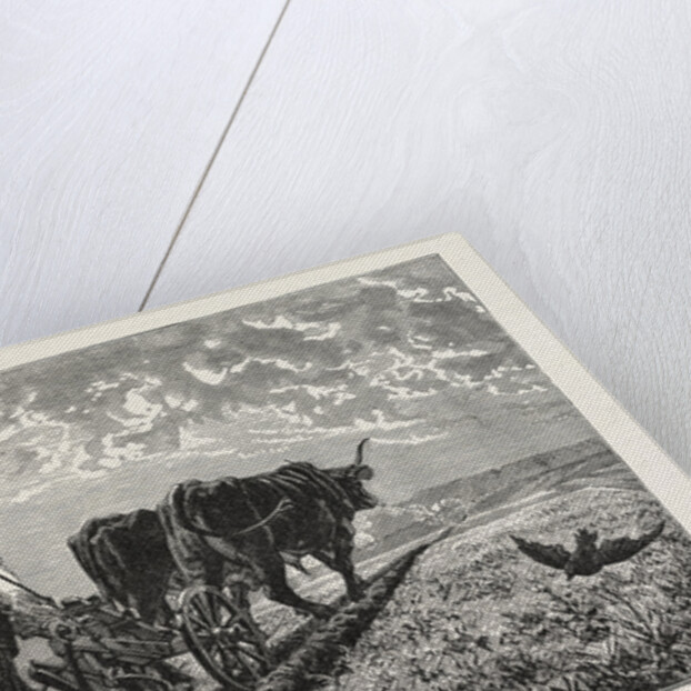 A French Agriculturist by Anonymous