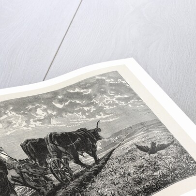 A French Agriculturist by Anonymous