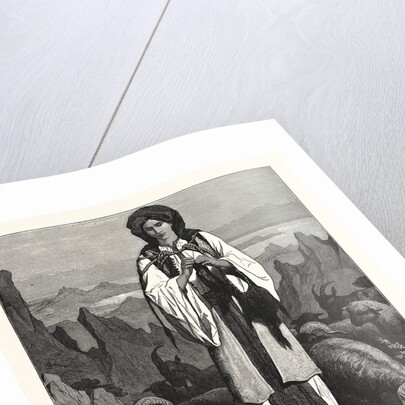 Albanian Shepherdess, Albania by Anonymous