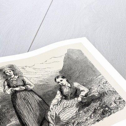 Norwegians Of The Lovardalsskard by Anonymous