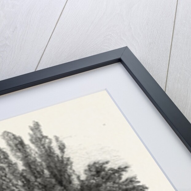 The English Garden and coffee house Dorothee. Eaux-Bonnes, Pyrenees-Atlantiques, France by Anonymous