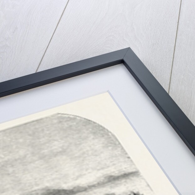 Graziella, painting by Mr by Anonymous