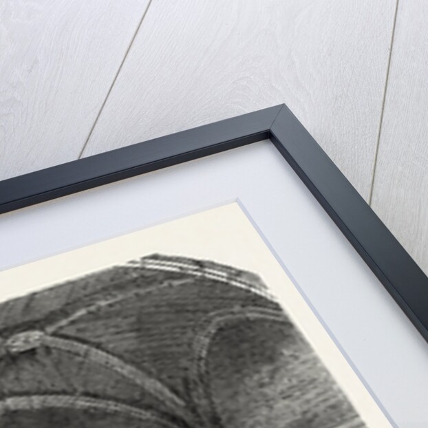 Dungeon of Vincennes: Hall of cardinals by Anonymous