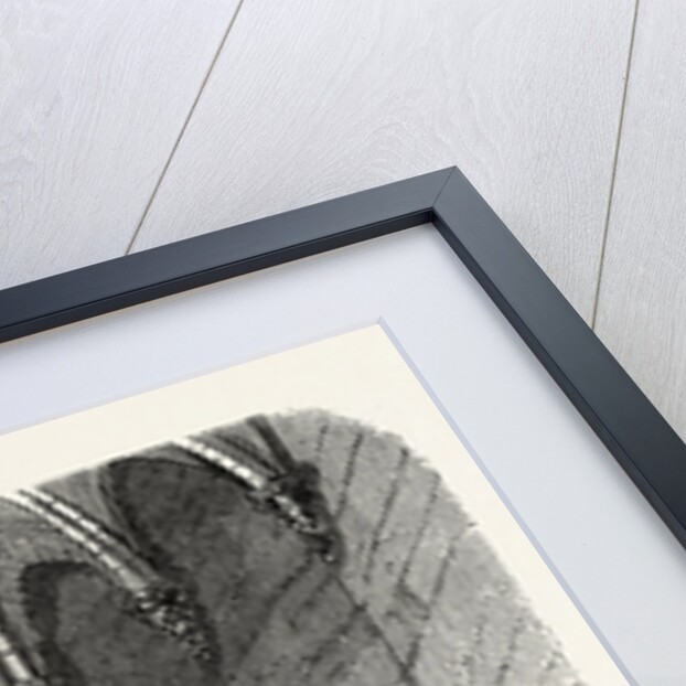 Dungeon of Vincennes, cell of Mirabeau by Anonymous