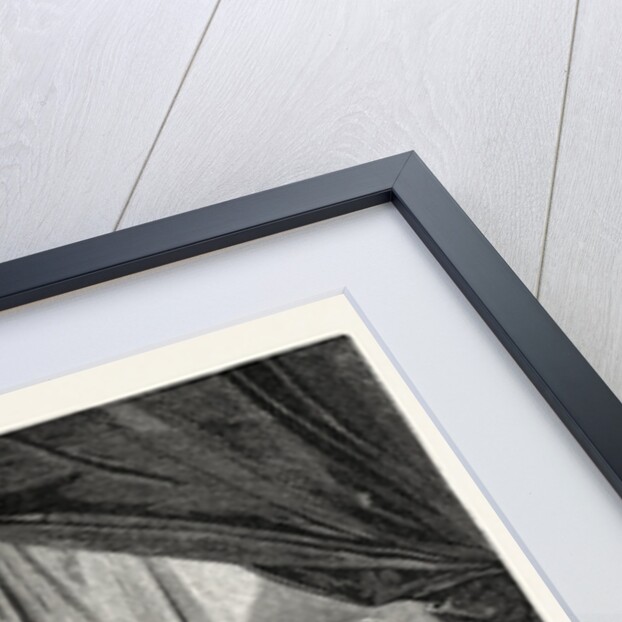 Salon 1855 by Anonymous