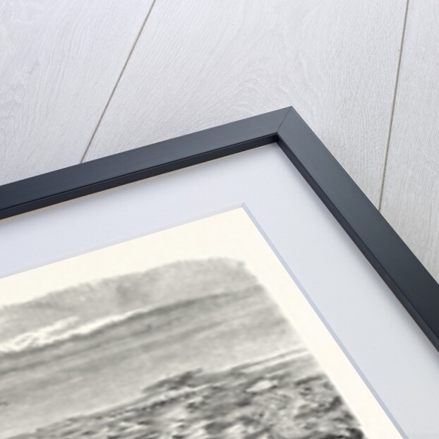 Panoramic view of the Suez Canal and the canal of the two seas by Anonymous