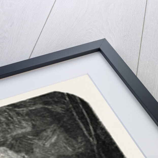 Scenes Of Country Life: The bakehouse. Studies by Damourette by Anonymous