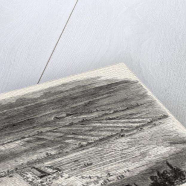 Agricultural Exhibition in Trappes by Anonymous