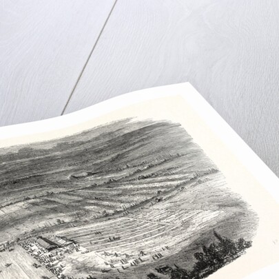 Agricultural Exhibition in Trappes by Anonymous