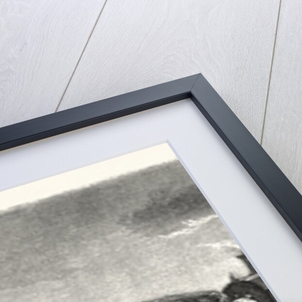 Accident Happened on the Versailles Railway, September 9, 1855, France by Anonymous