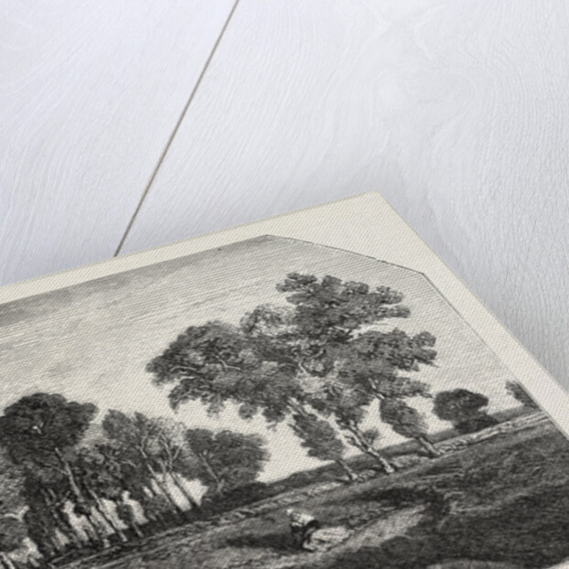 Salon of 1855. The Forest, Engraving 1855 by Anonymous