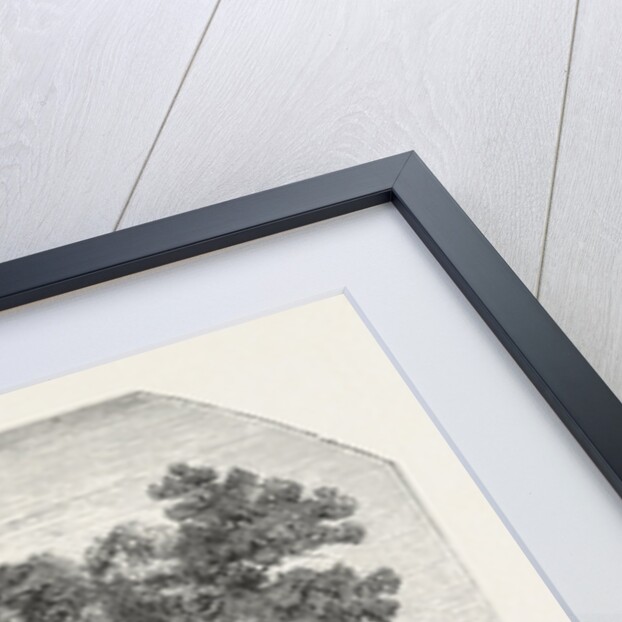 Salon of 1855. The Forest, Engraving 1855 by Anonymous