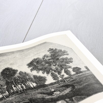 Salon of 1855. The Forest, Engraving 1855 by Anonymous