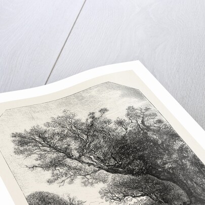 Normandy, Engraving 1855 by Anonymous