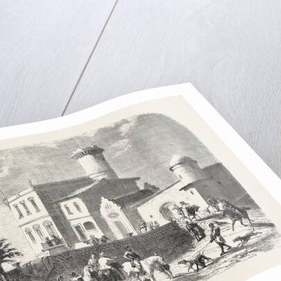 Ramle, Near Alexandria, Egypt by Anonymous