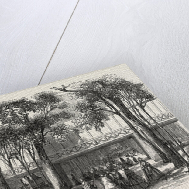 Expo 1855. Walkway of the Rotunda Annex, above the Cours-La-Reine. Paris, France, Exposition Universelle by Anonymous