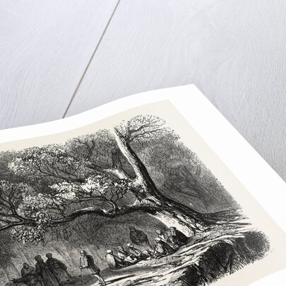 The Kief in the Islands of Princes, 1855 by Anonymous