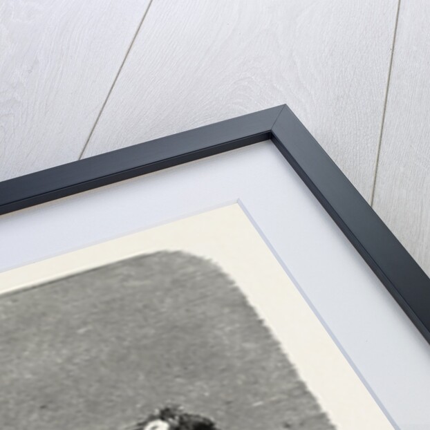 Travelling in the Madras Presidency by Anonymous