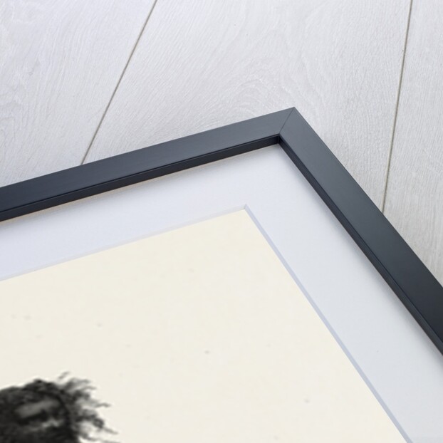 Jogees Wounding Themselves by Anonymous