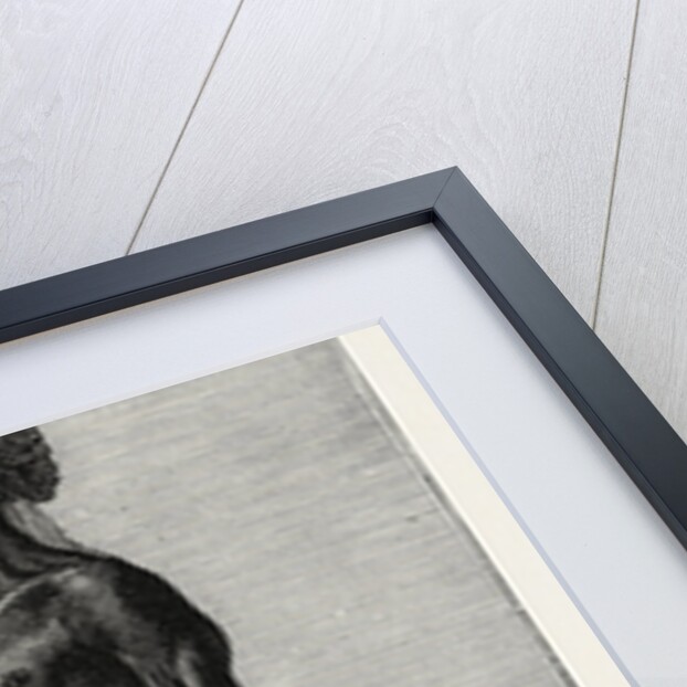 Djangal, Native of the Sirgouja by Anonymous