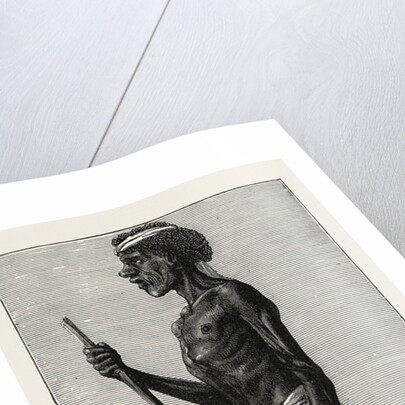 Djangal, Native of the Sirgouja by Anonymous