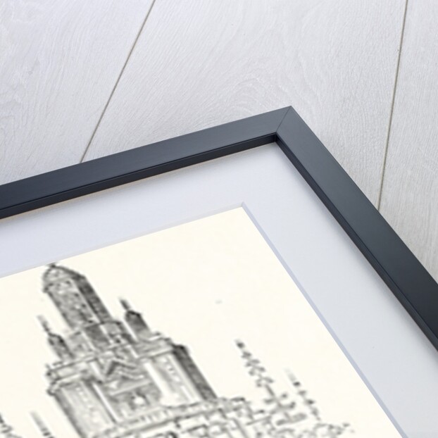 The Indian Zebu (Bos Indicus) by Anonymous