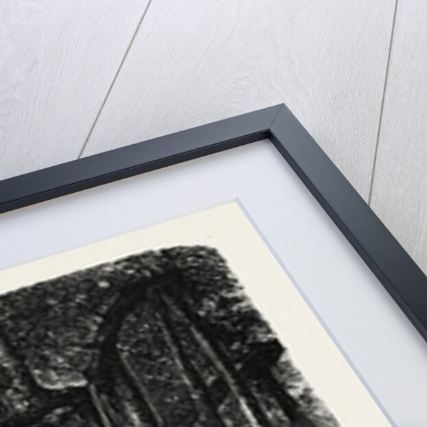 The Great Banyan, or Sacred Tree, of India (Ficus Indica) by Anonymous