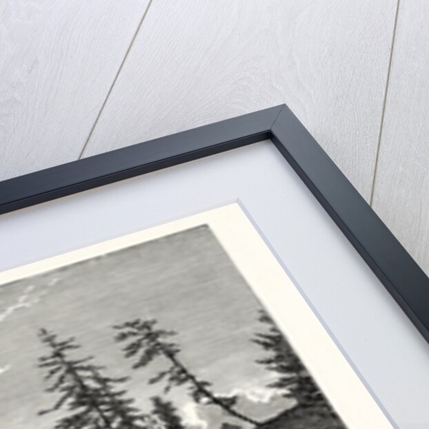 View of the Gorge, or Narrowest Point of the Western Prolongation of Victoria Harbour, Vancouver Island, with Trees of Abies Douglasii by Anonymous