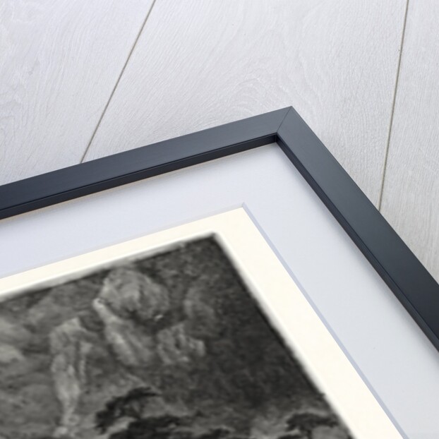 Snowy Range of the Sierra Madre, Rocky Mountains by Anonymous