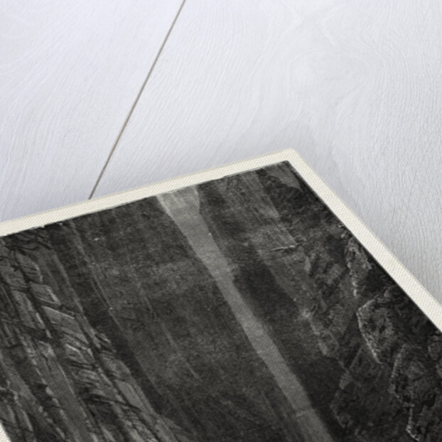 The Great Canyon of the Colorado: Raft Precipitated Over a Cataract by Anonymous