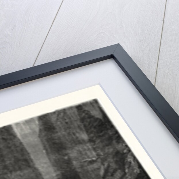 The Great Canyon of the Colorado: Raft Precipitated Over a Cataract by Anonymous