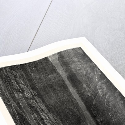 The Great Canyon of the Colorado: Raft Precipitated Over a Cataract by Anonymous