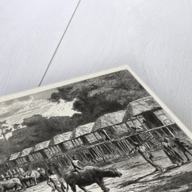 Scene in a Village in the Laos Country by Anonymous