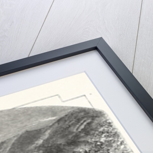 The City and Lake of Como, Italy by Anonymous