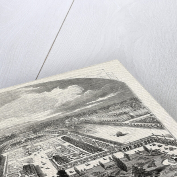 The Gardens of the Horticultural Society at Kensington Gore by Anonymous