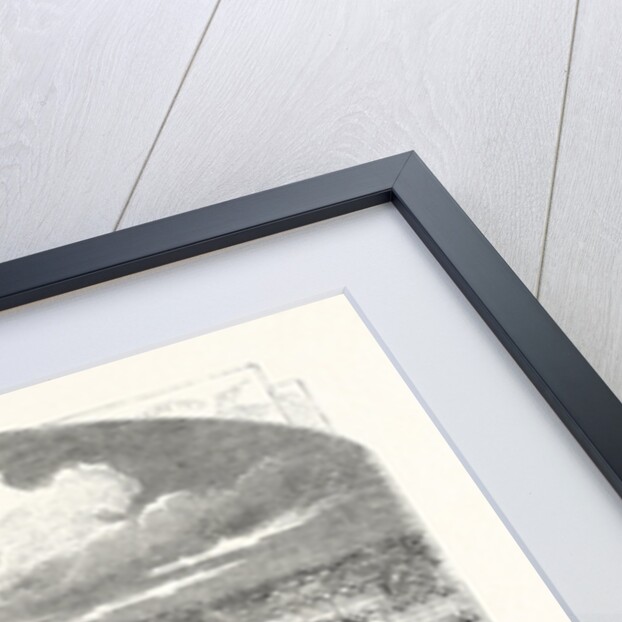 The Gardens of the Horticultural Society at Kensington Gore by Anonymous