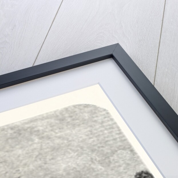 Wressel Castl by Anonymous